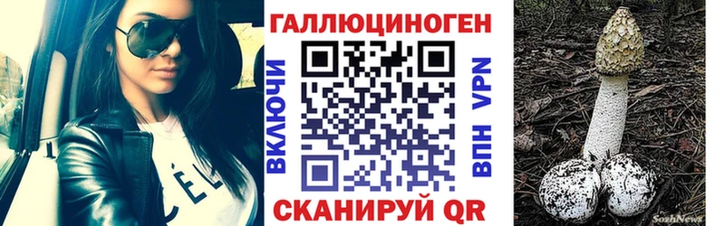 hydra как зайти  Нерчинск  Галлюциногенные грибы Magic Shrooms 